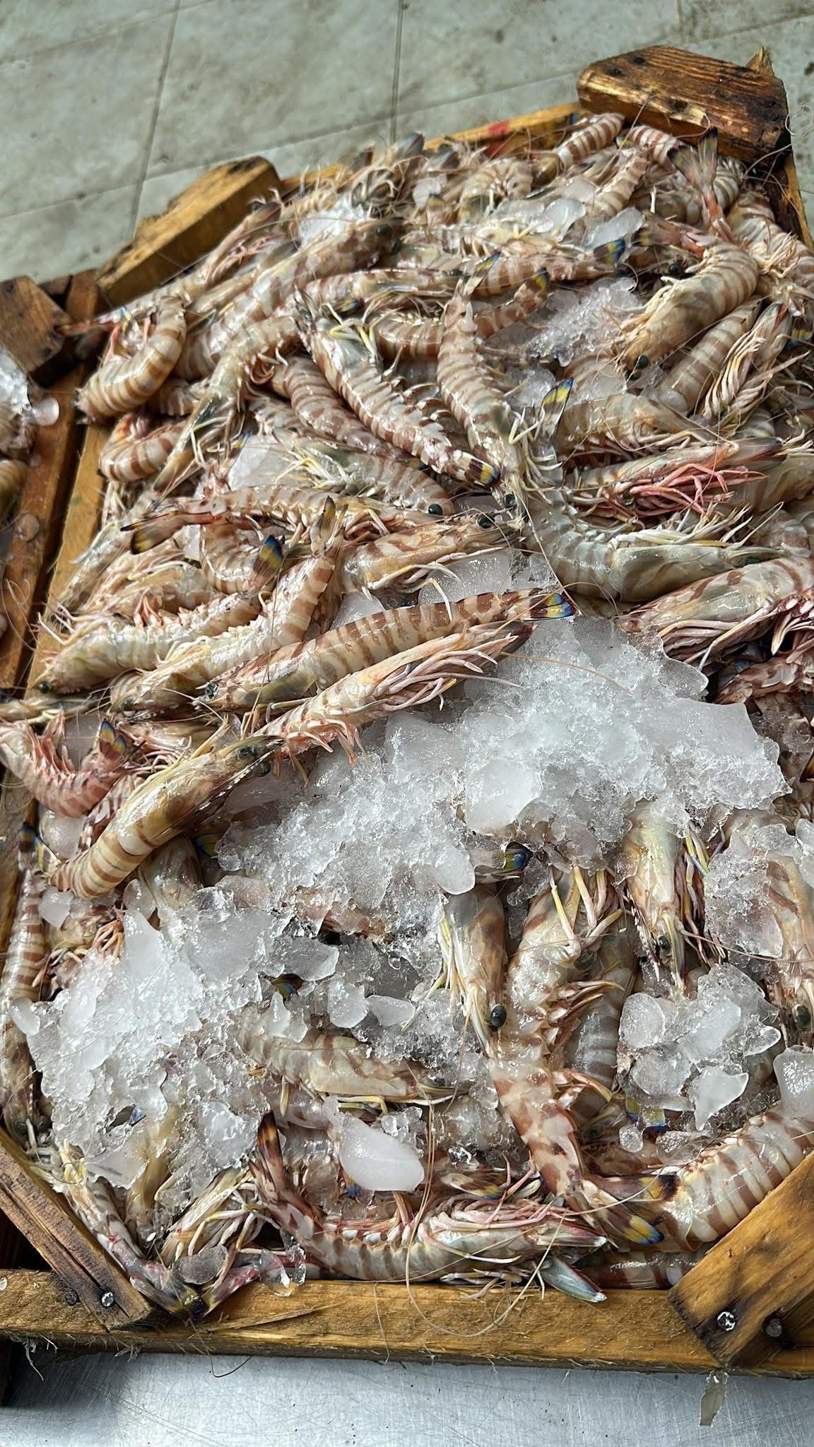 Fishing vessels unloading catch